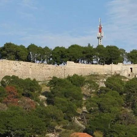 Govic 자보리치