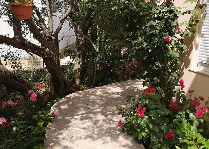 Govic * ז'אבוריץ'